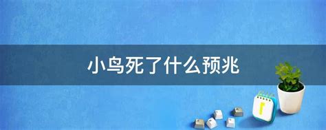 小鸟死在院子里|门口有死鸟预兆，鸟死在院子里吉凶